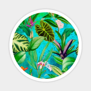 Stylish Tropical floral leaves and foliage botanical illustration, botanical pattern, tropical plants, aqua blue leaves pattern over a Magnet